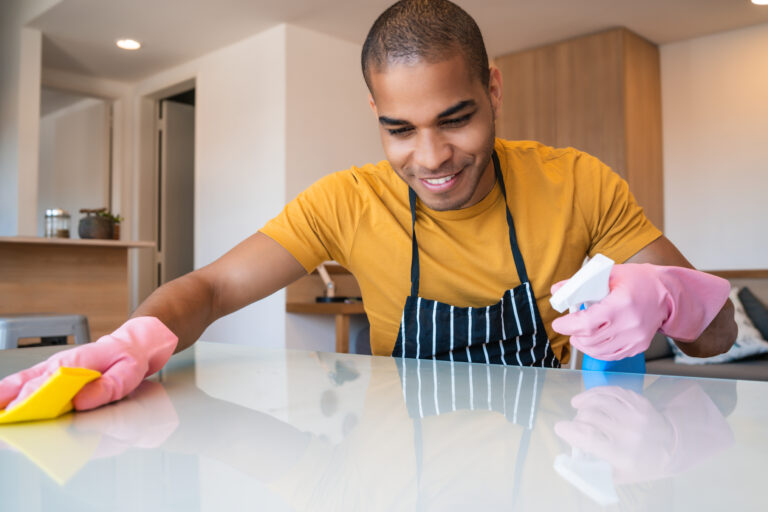Domestic Cleaning Services